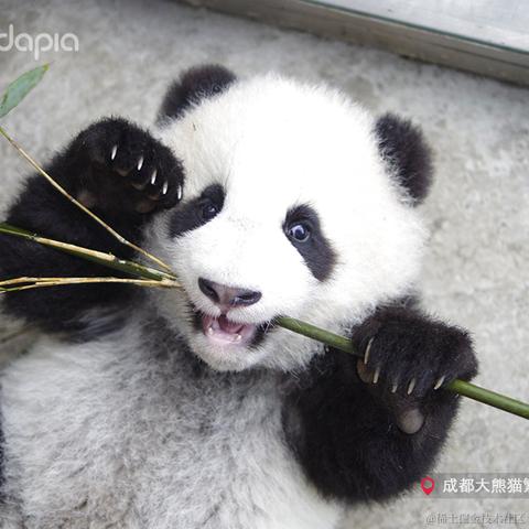 秉烛夜游于2021-09-30 09:06发布的图片