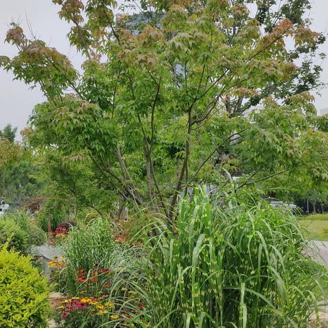 吃鱼徐于2023-05-30 12:35发布的图片