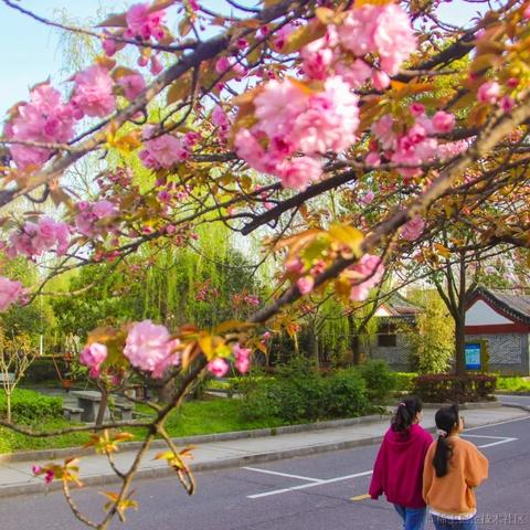用户8836638698450于2023-04-20 12:33发布的图片