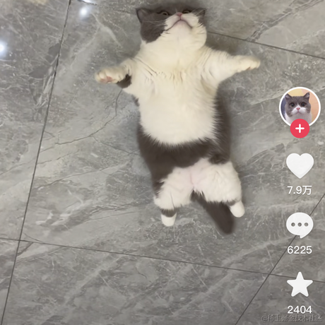 余鱼于2022-08-27 00:04发布的图片