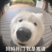 灿若星辰的个人资料头像