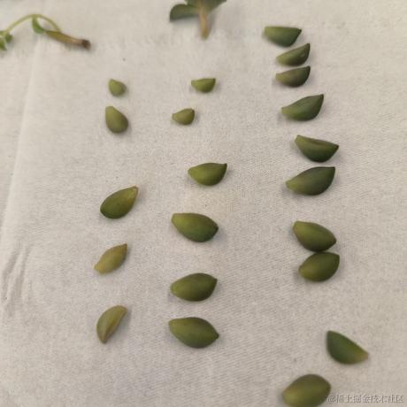 PDieE于2022-07-12 10:39发布的图片