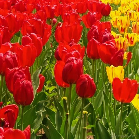 耶耶_于2023-04-06 17:26发布的图片