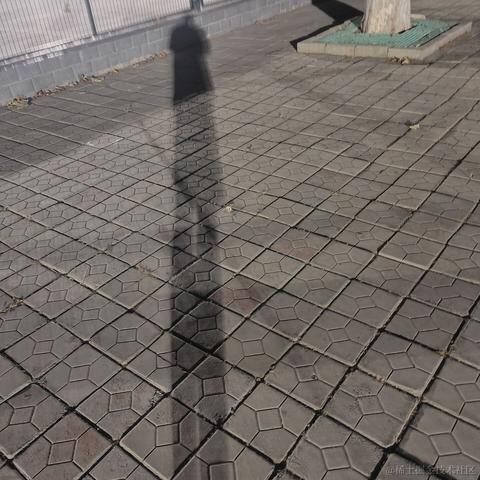 shiyue于2022-09-18 20:23发布的图片