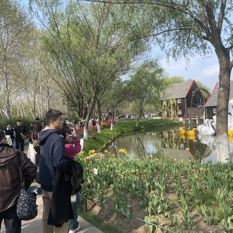 困芽芽于2023-04-01 22:20发布的图片