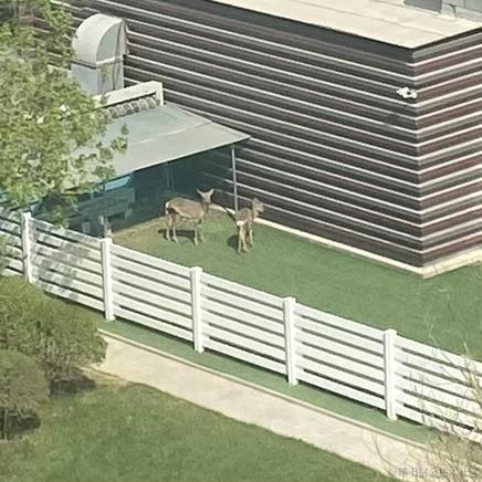 悔不该杀那华佗吆于2023-05-20 16:03发布的图片