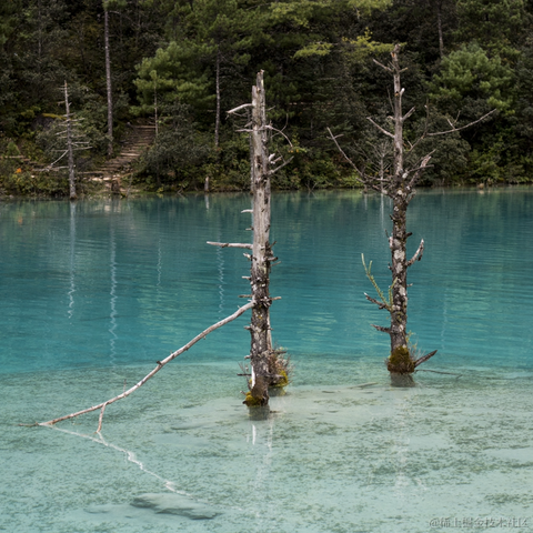 中路修弦于2020-10-03 17:52发布的图片