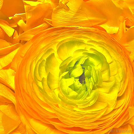 清欢爱蹦跶于2022-04-15 07:16发布的图片