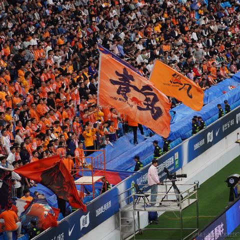 岛城咸鱼于2024-06-14 15:10发布的图片