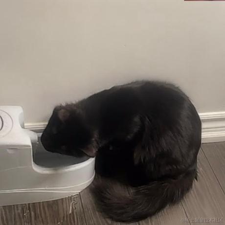 栀子花apple于2023-04-06 22:24发布的图片