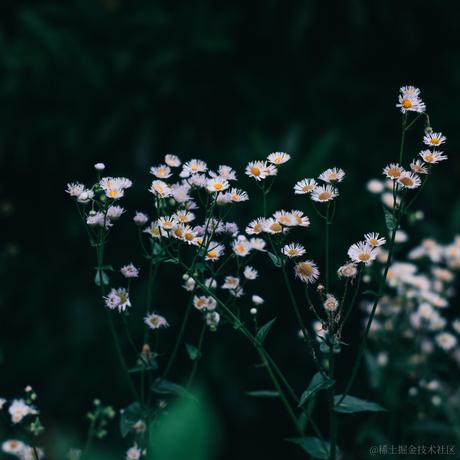 Ton于2023-05-20 18:48发布的图片