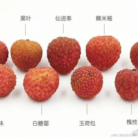 江昪于2021-05-28 11:54发布的图片
