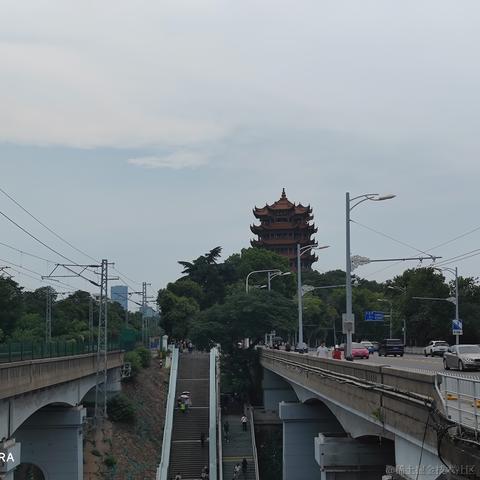 枝江第一深情于2023-07-02 14:31发布的图片