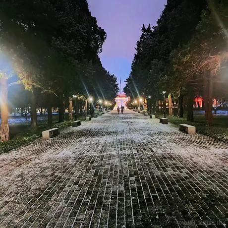 大脑袋瓜子于2022-11-30 23:31发布的图片