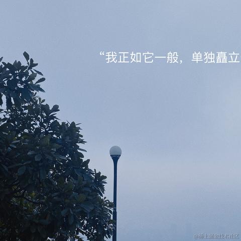 宁在春于2022-11-13 22:27发布的图片