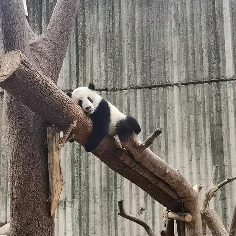 webxue于2023-02-26 23:02发布的图片