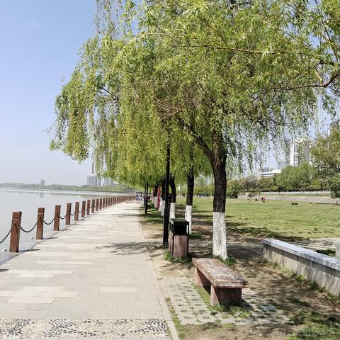 tmgv于2023-04-11 11:09发布的图片