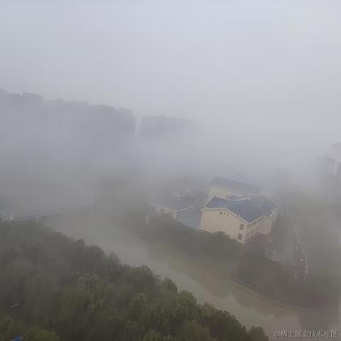 排骨啃玉米于2023-10-26 13:58发布的图片