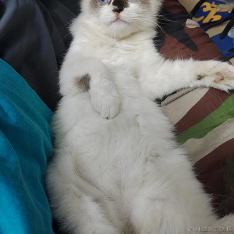 三岁起就很帅于2023-04-25 11:05发布的图片