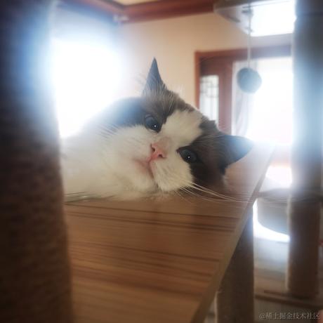 Firmament于2022-12-04 12:22发布的图片