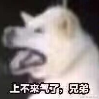 TheWQ于2023-10-24 10:20发布的图片
