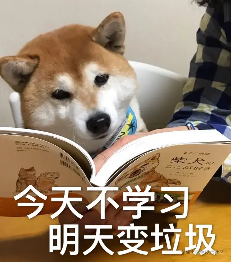 你学习了吗.webp