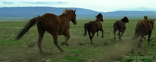 Suggestion.gif