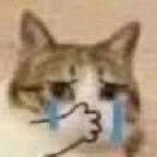 嘻嘻__于2021-02-25 10:45发布的图片