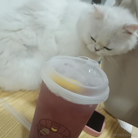 ntses于2023-04-29 10:54发布的图片