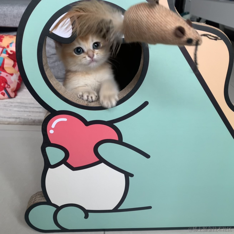 小蝴蝶于2021-12-24 17:49发布的图片