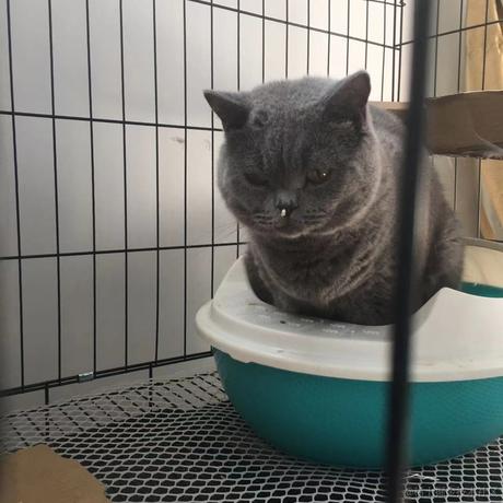 一起重学前端于2022-07-27 11:08发布的图片