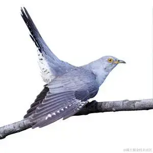u=2823600658,684681512&fm=253&fmt=auto&app=138&f=JPEG.webp