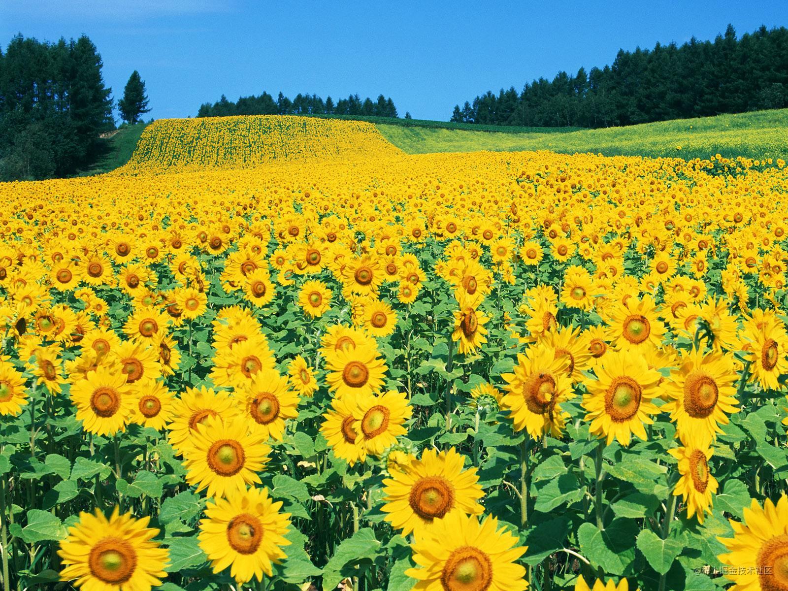 软件测试基础知识