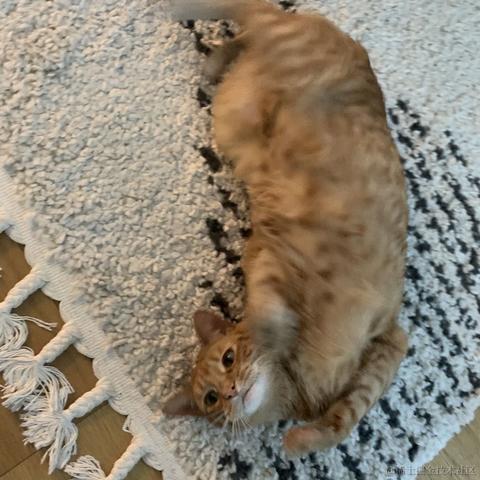 moremorefree001于2021-01-05 09:53发布的图片