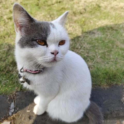 我在等乃宝晚安于2022-12-06 09:54发布的图片