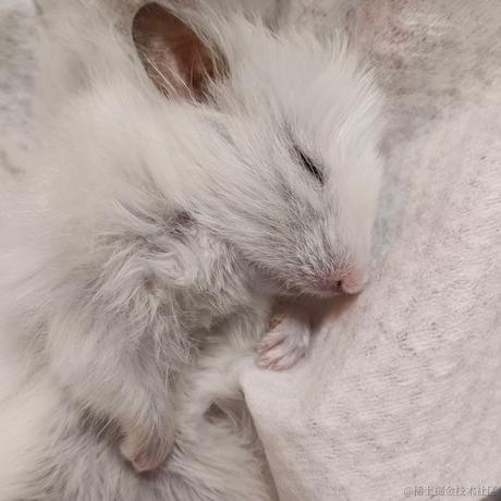 用户6781586848104于2022-11-11 10:20发布的图片