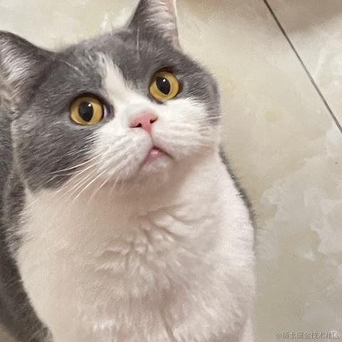 不能没有番茄酱于2023-04-19 23:23发布的图片