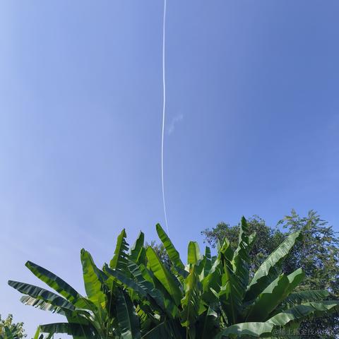 北纬91于2023-11-17 12:32发布的图片