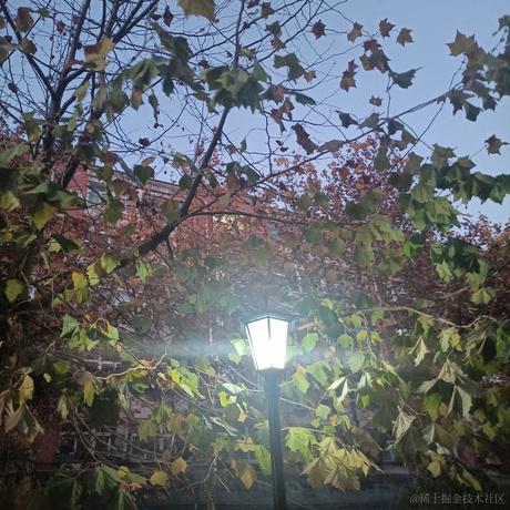 小碗顶晚喵于2022-11-25 22:49发布的图片