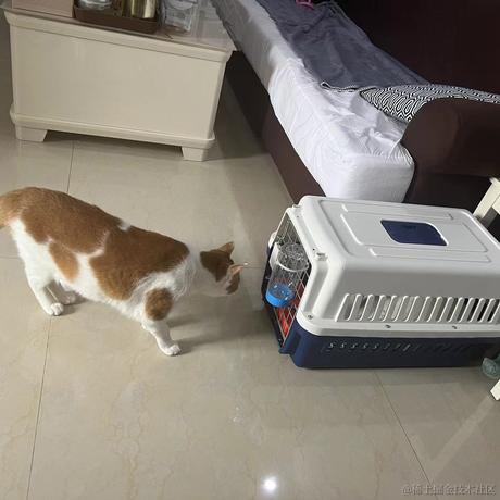 墨羽MoYu于2023-05-31 17:31发布的图片
