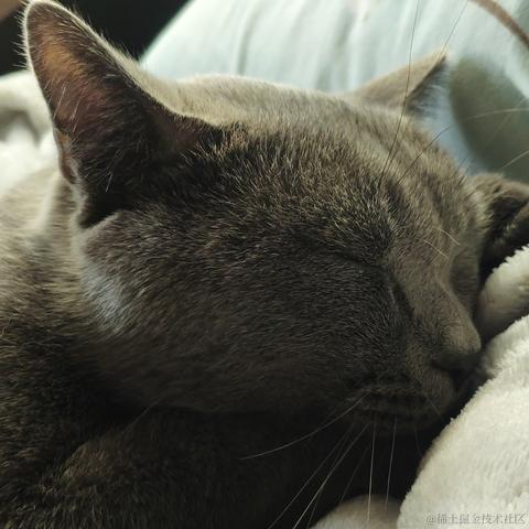 发射二向箔于2021-10-27 17:47发布的图片