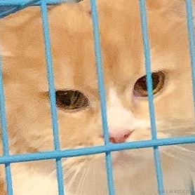 药效还在于2022-11-14 01:40发布的图片