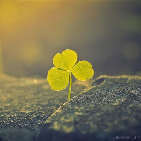 温文尔雅于2021-02-02 13:59发布的图片