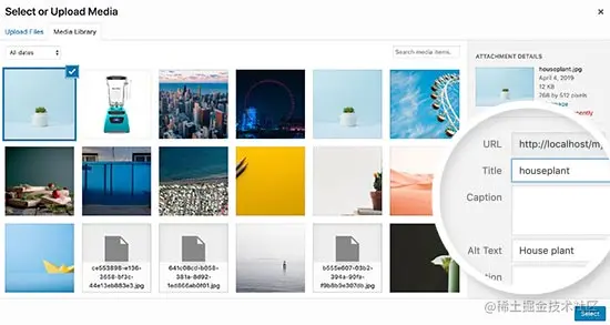 Alt属性 vs 图片说明（Caption）