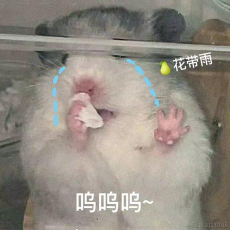 蓝斑_json于2023-12-13 08:32发布的图片