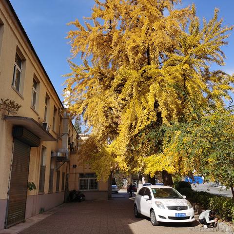 叮咚咚咚于2022-10-25 23:05发布的图片