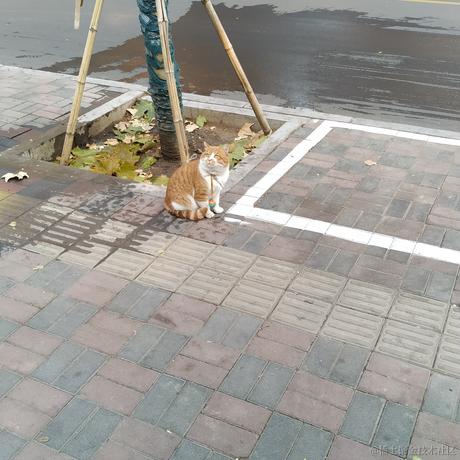 向晚今天吃水母于2022-11-11 13:47发布的图片