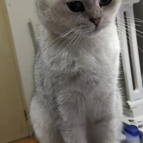 一光光一于2022-11-28 00:09发布的图片