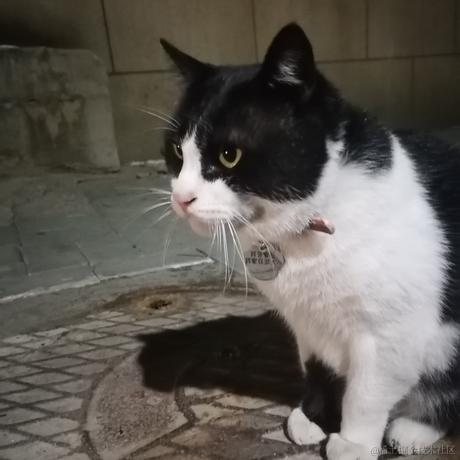 Queeeee于2022-11-23 17:22发布的图片