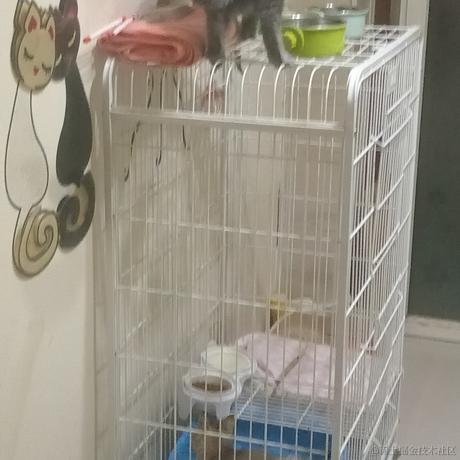 景傲于2023-07-01 22:06发布的图片